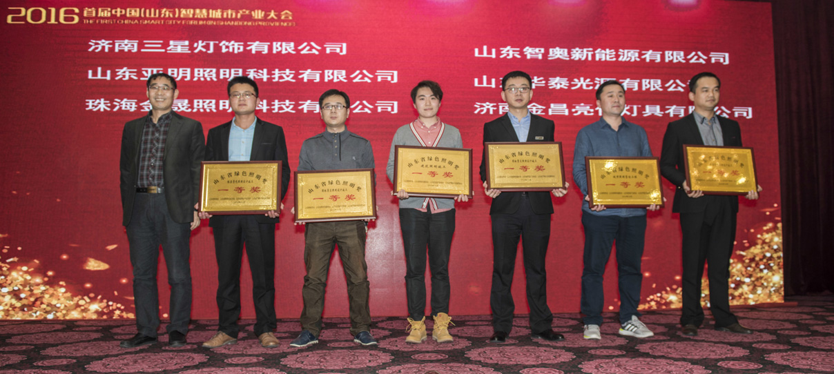 我公司創(chuàng)意的燈光雕塑作品榮獲首屆山東省綠色照明獎(圖2)