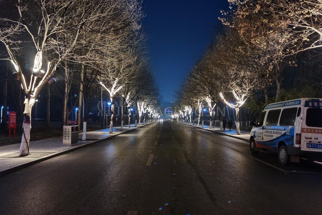 鄒平城區(qū)亮化